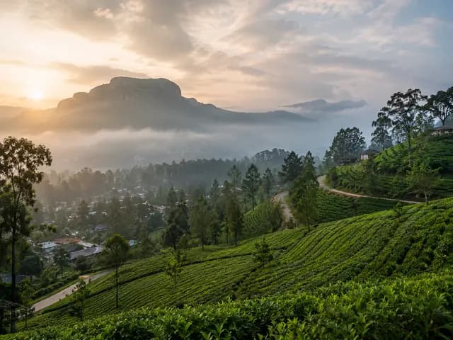 Ella Gap and green hills in Sri Lanka’s hill country at dawn
