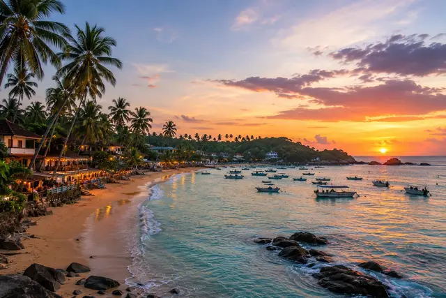 Mirissa cove at sunset with turquoise water and palm trees